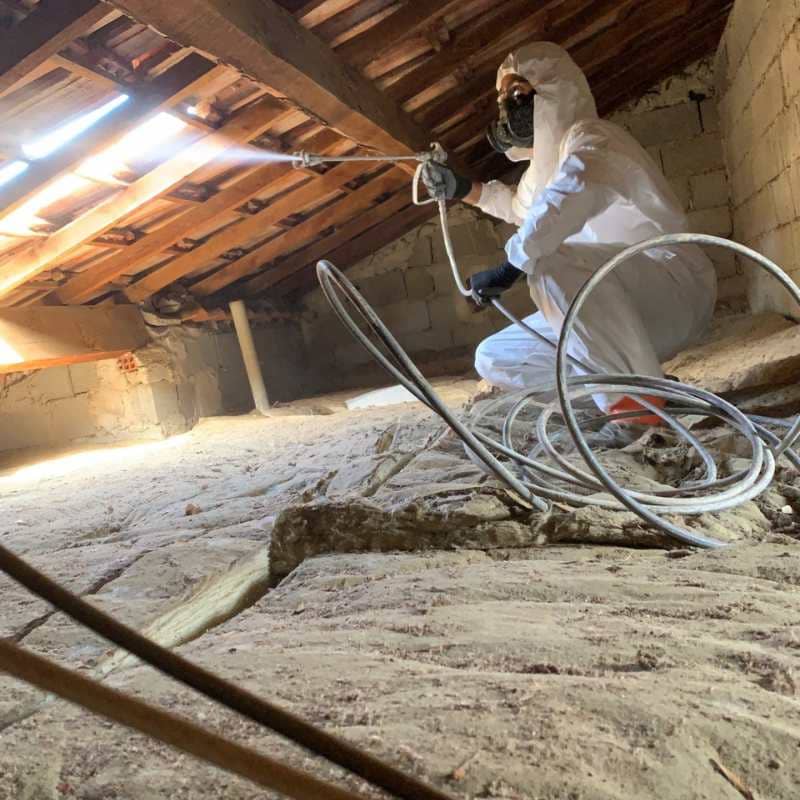 Technicien BDX Termites Lacanau traitant la charpente de combles par pulvérisation